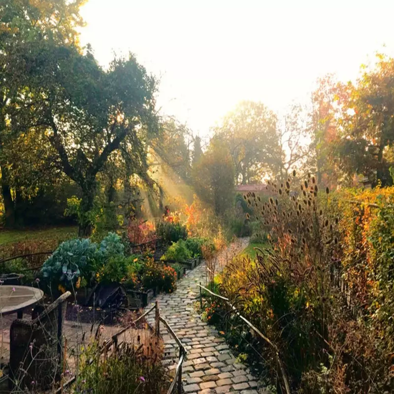 Biodiverse tuin