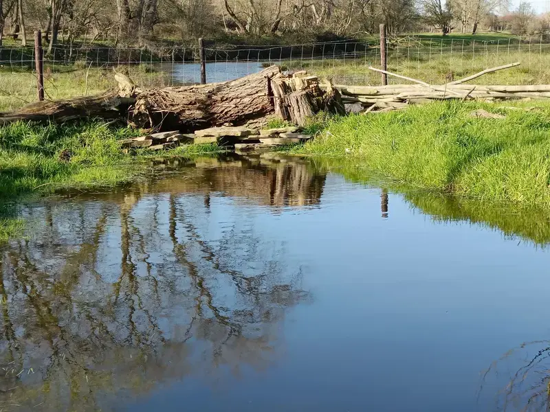 aanleg wadi/poel ter opvang van overtollig water