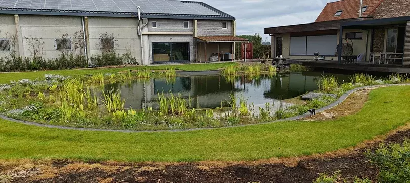 landelijke zwemvijver met natuurlijke skimmer en moeraszone