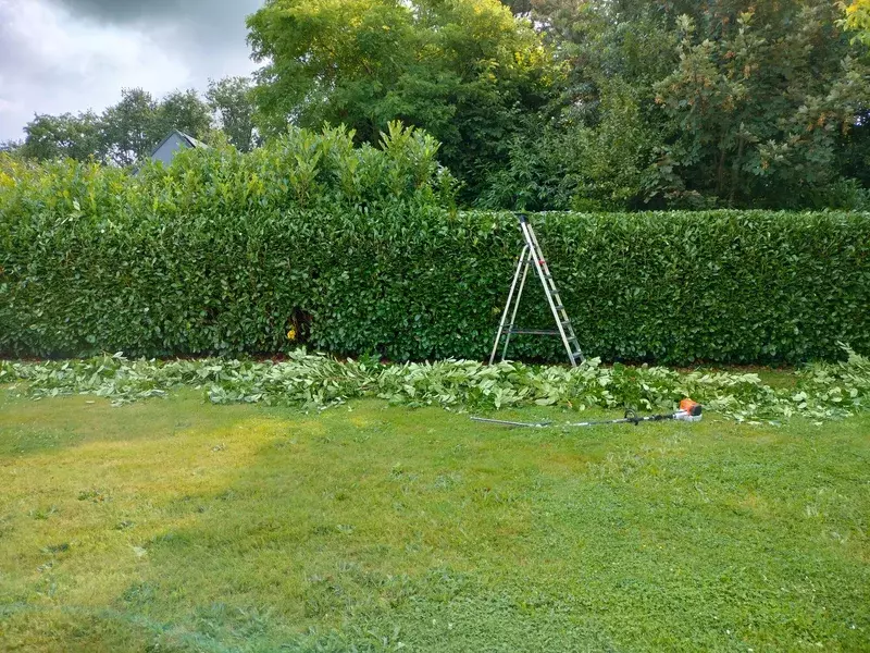 Snoeiwerken