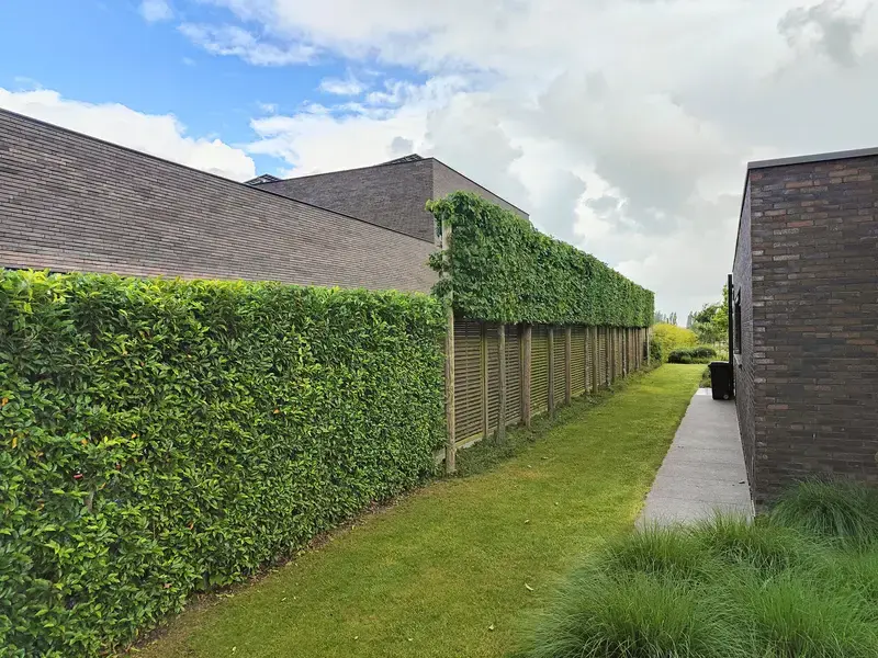 Foto van een smalle doorgang tussen moderne huizen met een groene haag en grasveld.