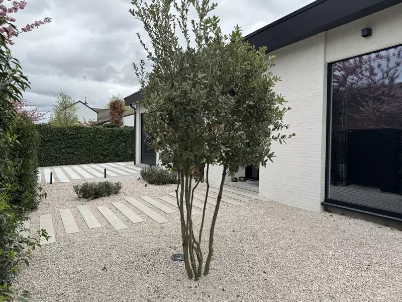 Gezellige moderne voortuin in Edegem met groenblijvende meerstam en stapstenen 