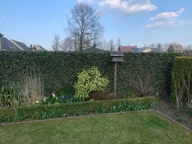 Tuin