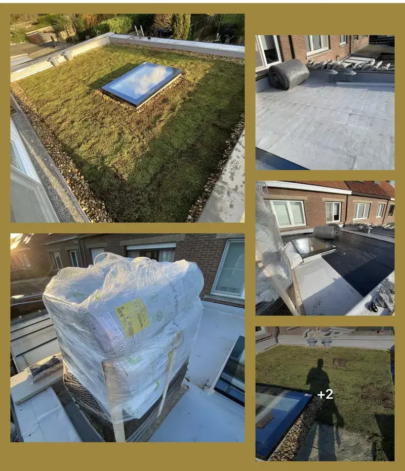 Aanleggen van een groendak 