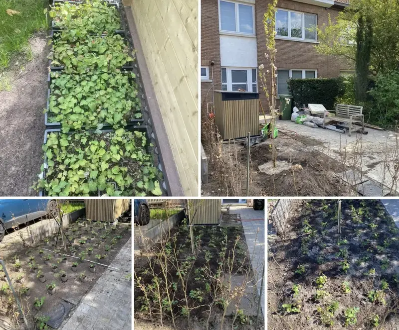 Ontwerp en aanleg van een voortuin met fietsberging