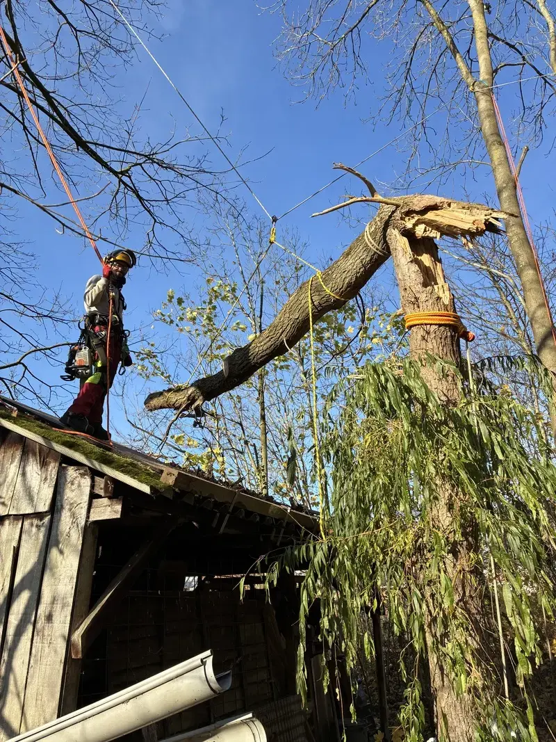 Afvangen van stormschade