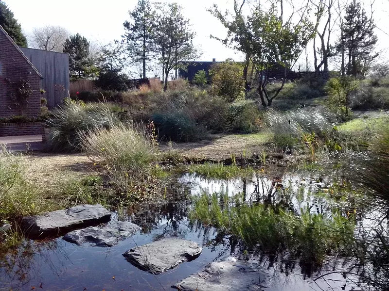 private duintuin opgaand in het duinenlandschap