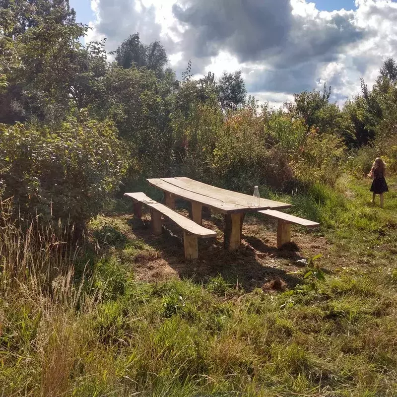 Organische tafel in acacia 