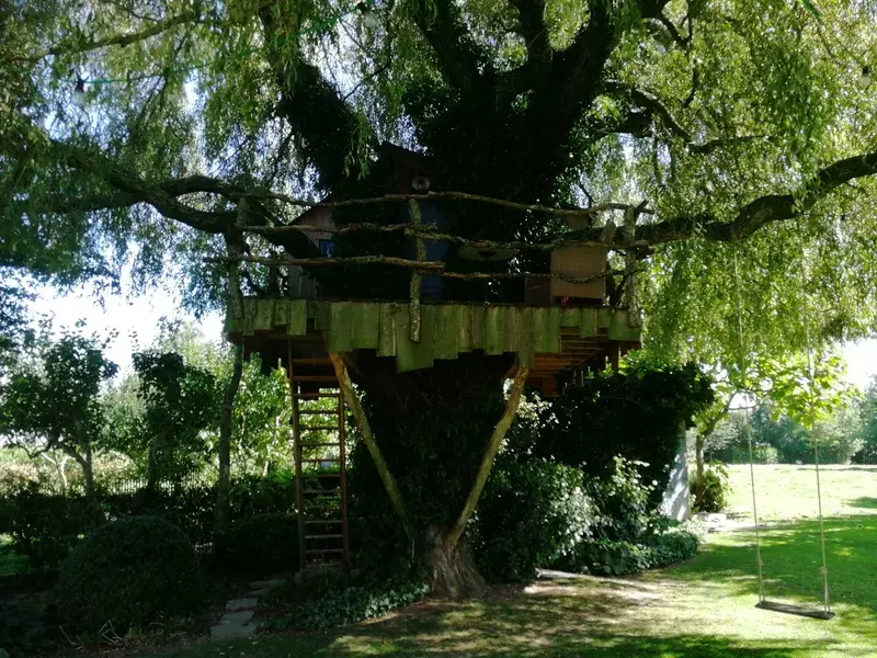 boomhut
