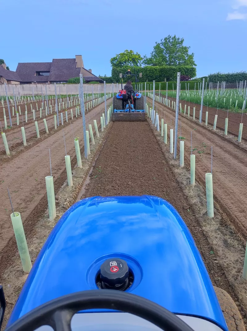 inzaaien van gras stroken in nieuw aangeplante wijngaard