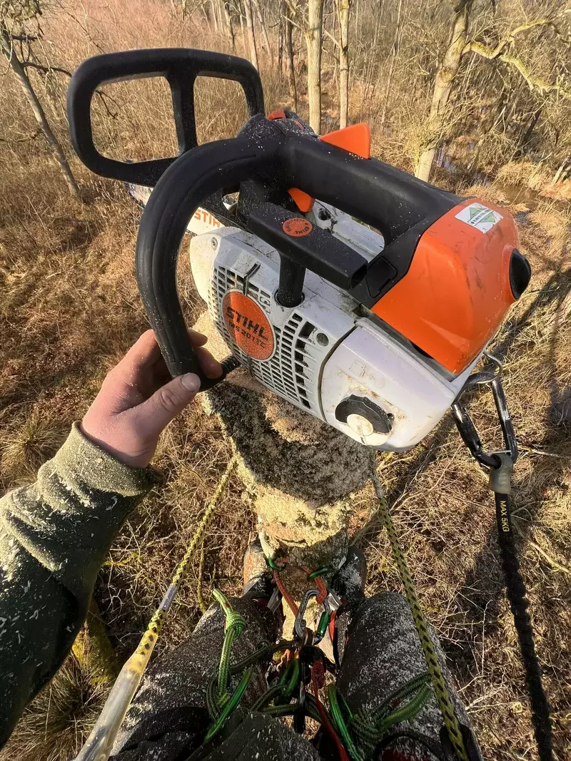 Ecologische velling met klimsporen voor bosbeheer