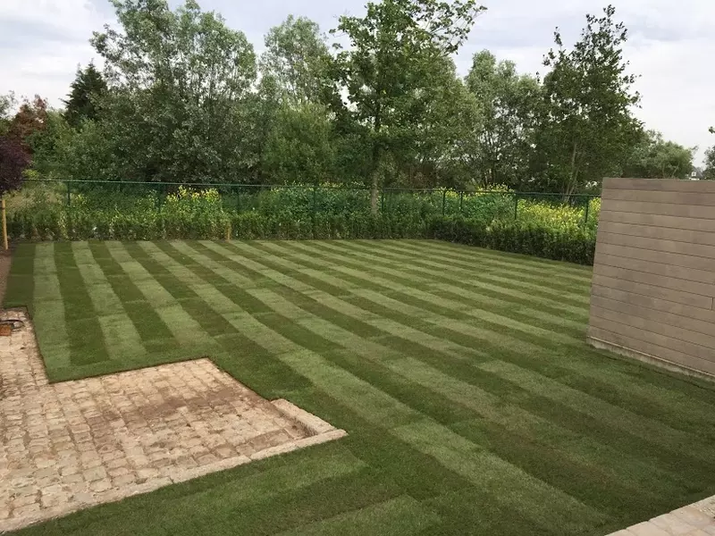 Aanleg graszoden.