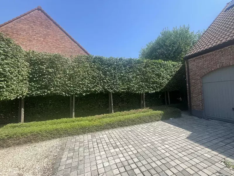 Tuinonderhoud