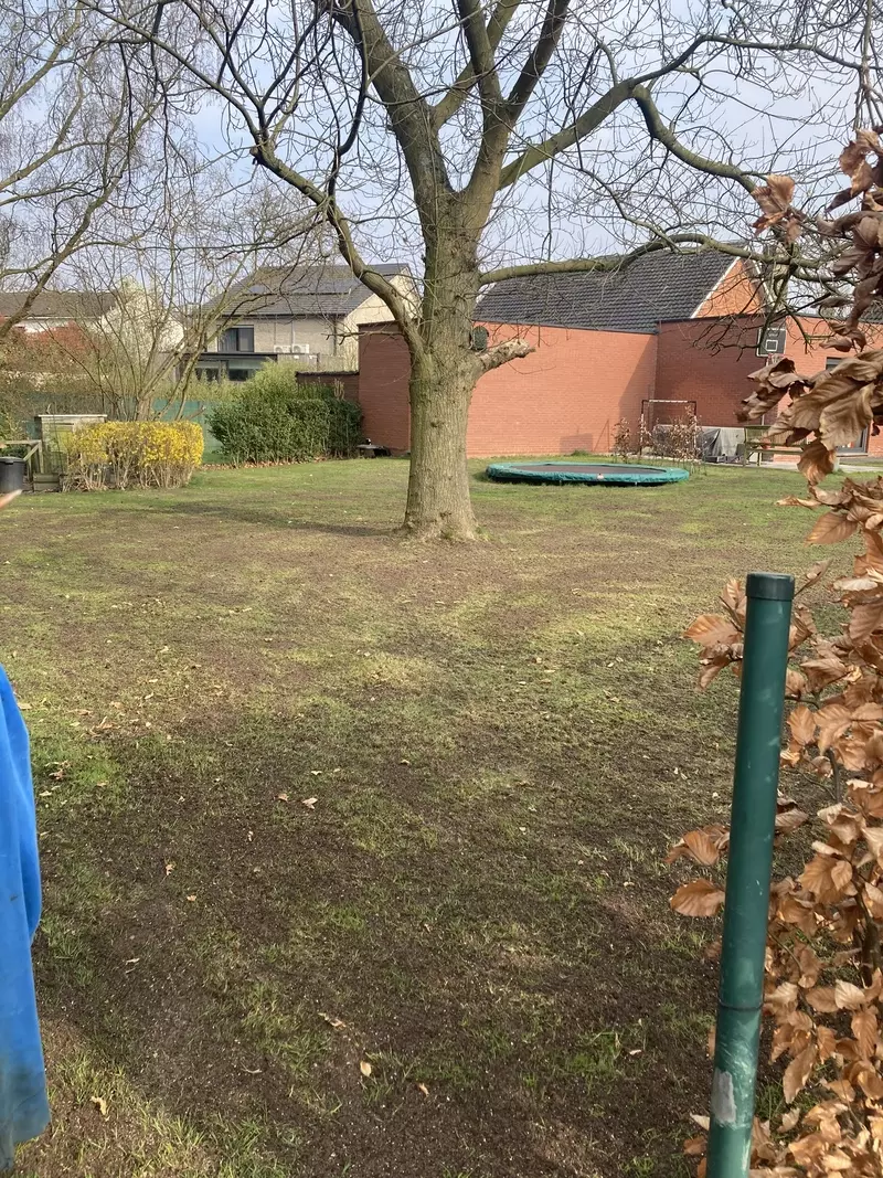 Gazon verticuteren en doorzaaien