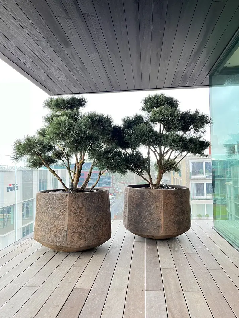 Plantenbakken met beplanting