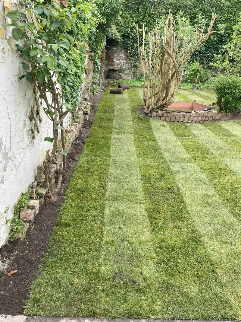 Aanleg van grasmatten beplanting rondom in een kleine ommuurde tuin.