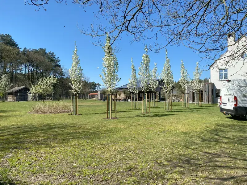 Tuinonderhoud