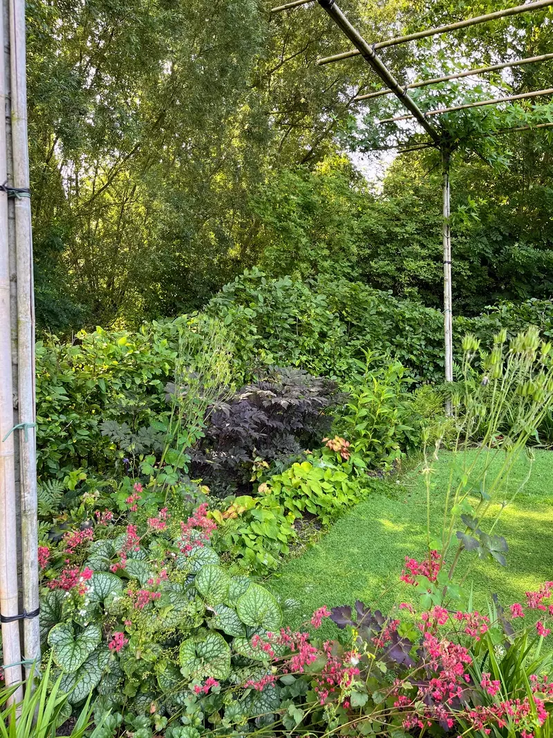 Shadow garden