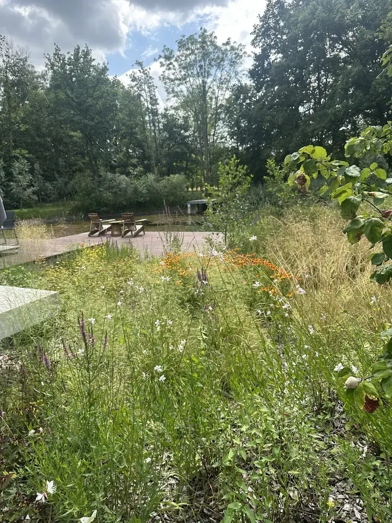 natuurrijke vijver 