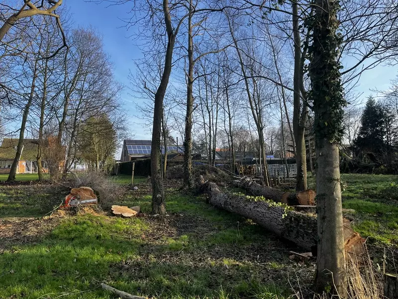 Bomen vellen