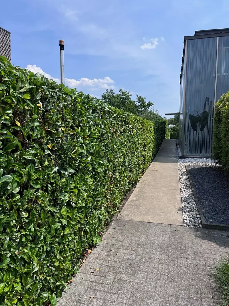 Onderhoud en snoei bedrijf
