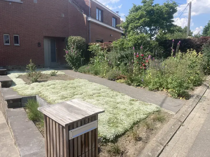 Foto na aanplanting voortuin