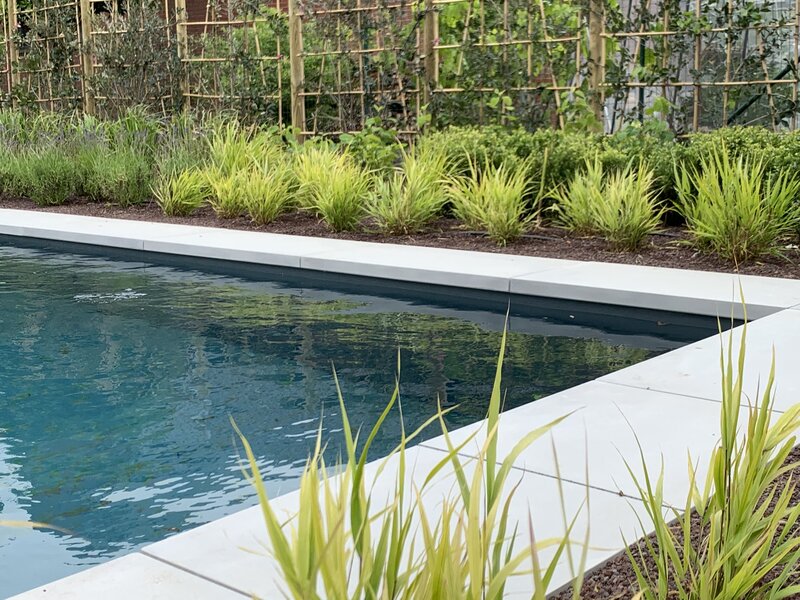 Detail nieuw aangelegde tuin met monoblok zwembad. Van ontwerp tot realisatie. 