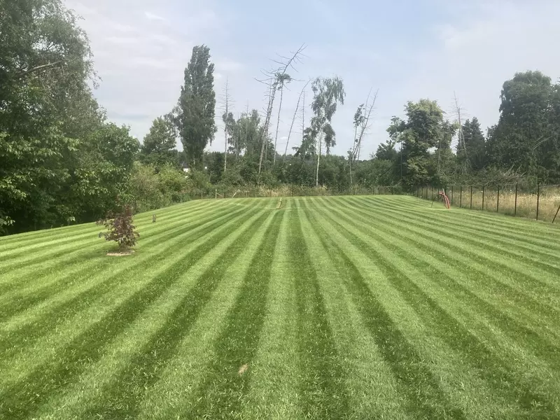 Gras maaien
