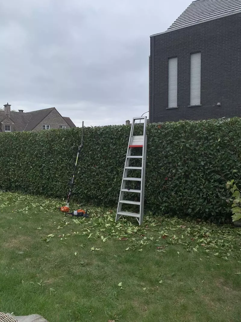 Van gazononderhoud tot seizoenssnoei en algemene verzorging van jouw tuin.