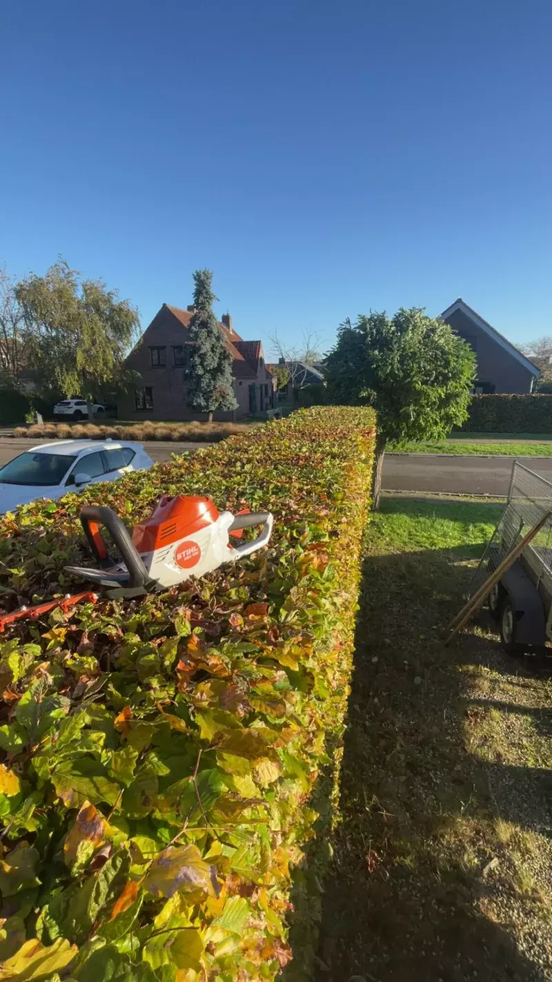 Strakke lijnen en vormen, een verzorgde uitstraling van jouw tuin.