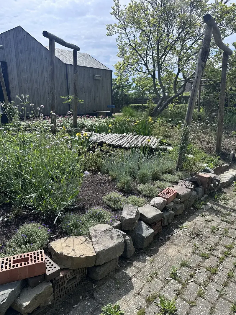 Natuurrijke voortuin met loofgangen en stapelmuurtjes 