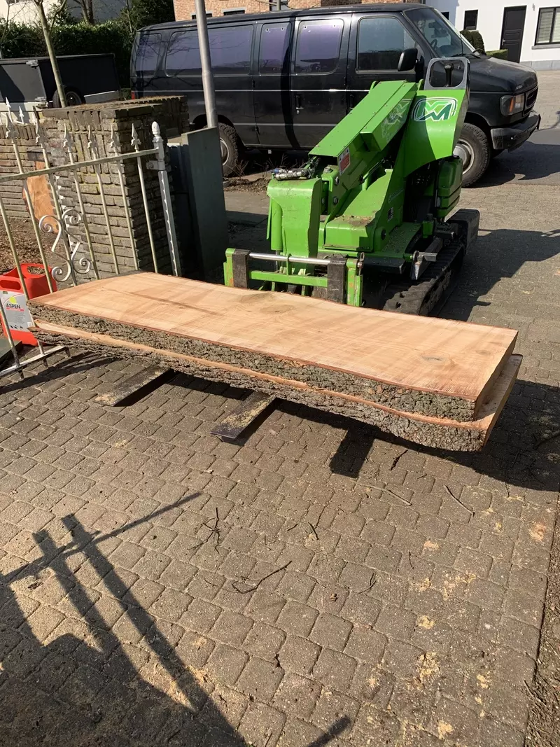 De verzaagde stam geeft mooie slabben om bijvoorbeeld een boomstamtafel van te maken