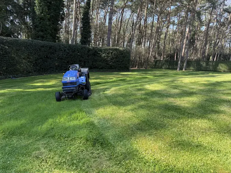 Maaien van kleine tuinen tot grote oppervlaktes dankzij assortiment van duwers en zitmaaier