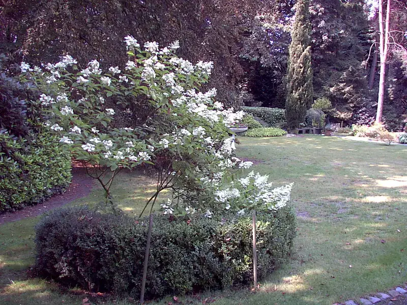 Onderhoud van een parktuin te Ekeren