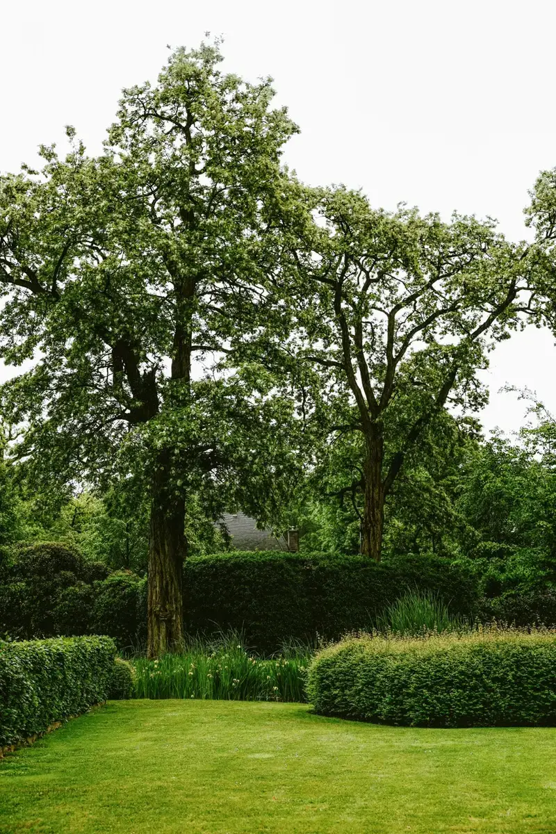 Brasschaat