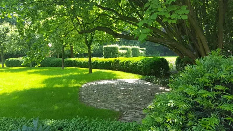 Landschapstuin met natuurlijke vormen