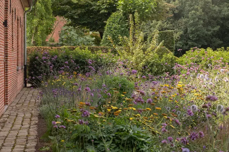 Natuurrijke tuin