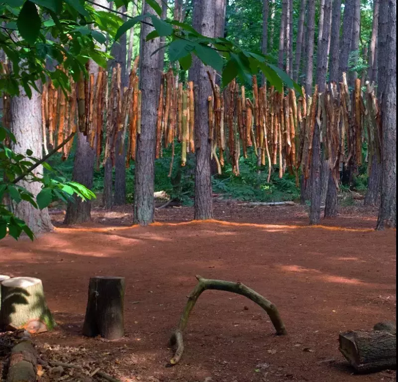 Kunst in de natuur