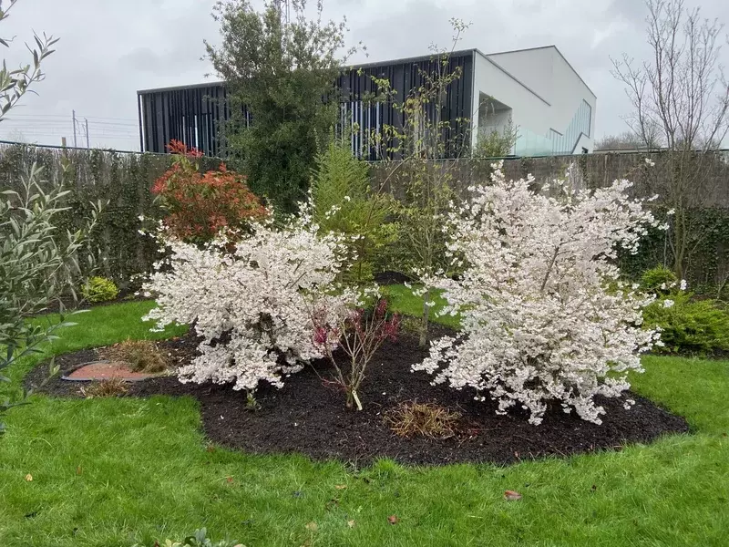 Merelbeke achtertuin