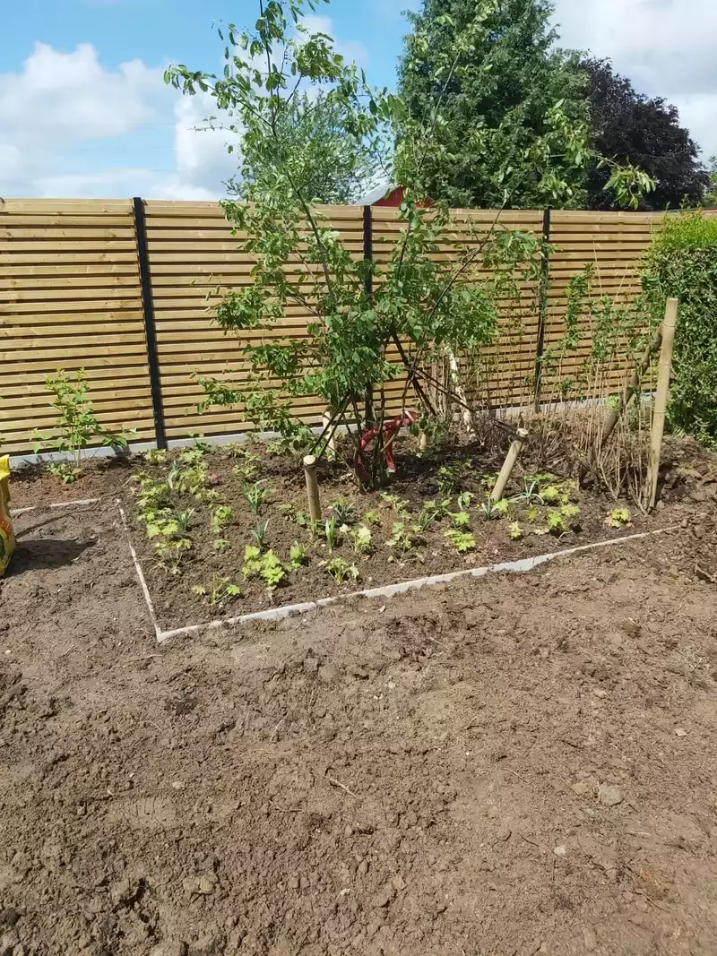 Nieuwe omheining en plantenborder met meerstam