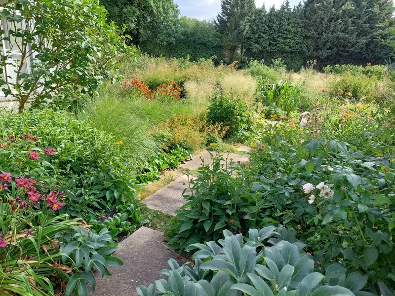 stappen tussen de vaste bloemen