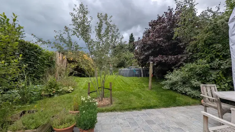 Zicht op een groene particuliere tuin met centraal gazon, gevarieerde beplanting, volwassen bomen en een zwembad achteraan.
