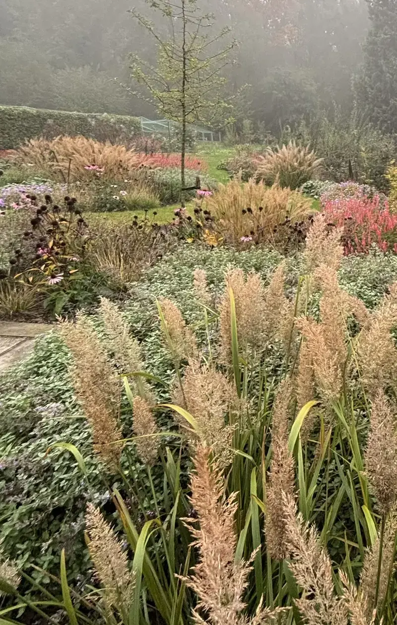 Prairietuin met inheemse grassen en drachtplanten