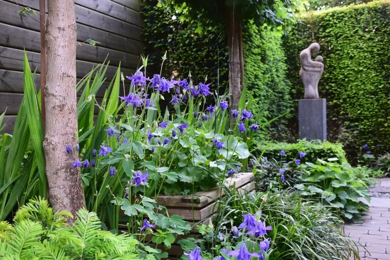Schaduwtuin 