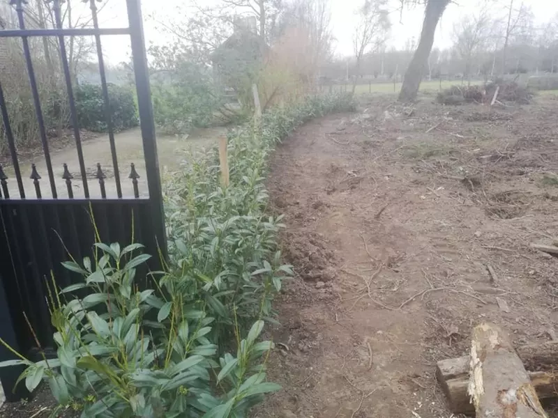 hagen aanplanten, hier word ook raad gegeven voor onze bestuivers. 