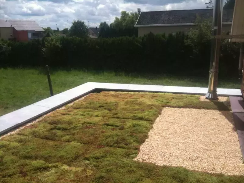 groene daken geven net dat beetje meer 