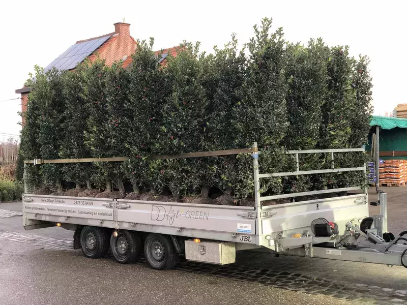 Volle vracht klaar om aan te planten.