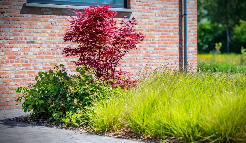 De Boeck Tuinarchitectuur
