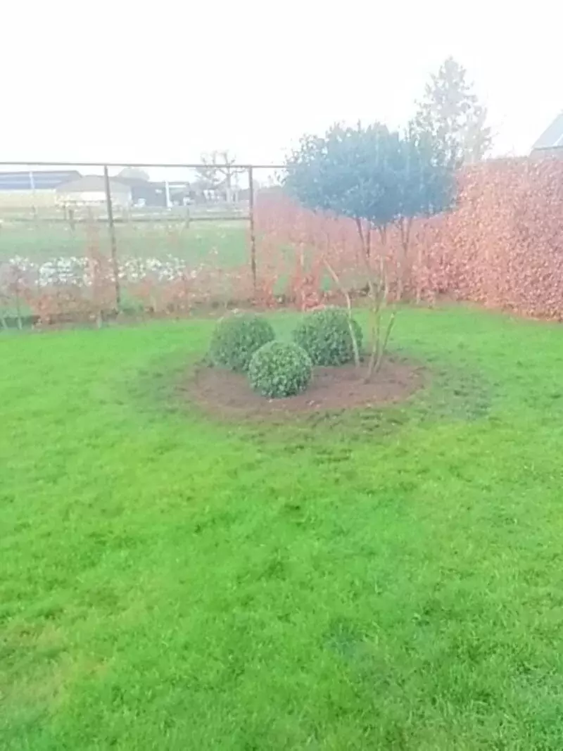 kleine aanplanting