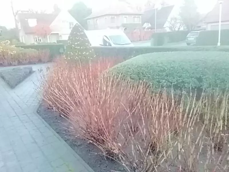De Brechtse Tuinman